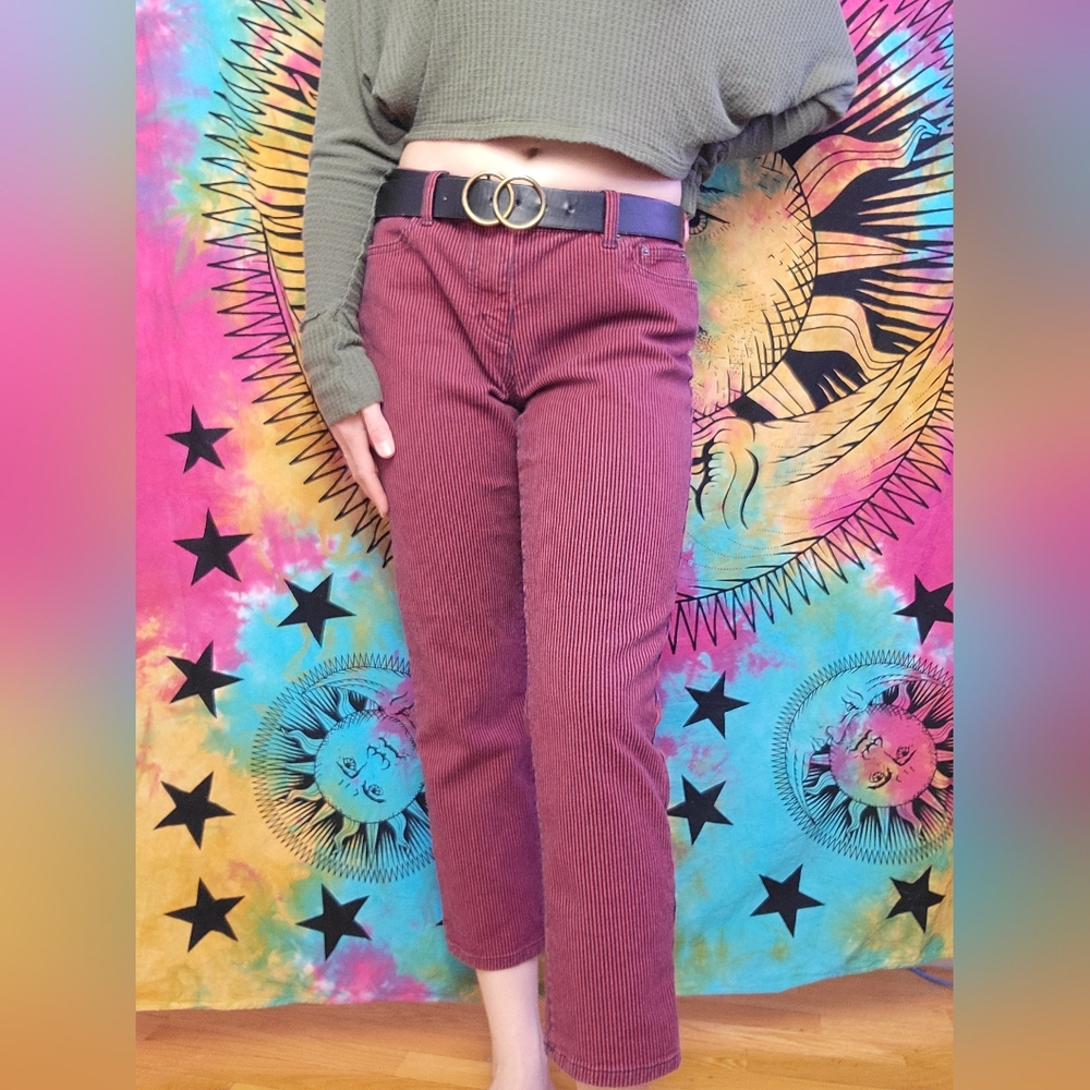 Lauren Jeans Ralph Lauren Petite Red and Blue Striped Pants